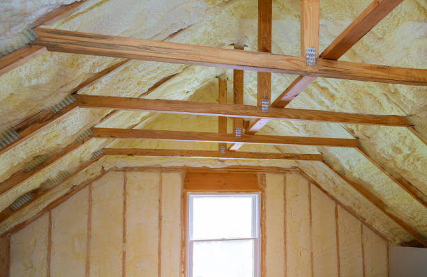 Best Energy Efficiency Solutions in Davis Junction, IL