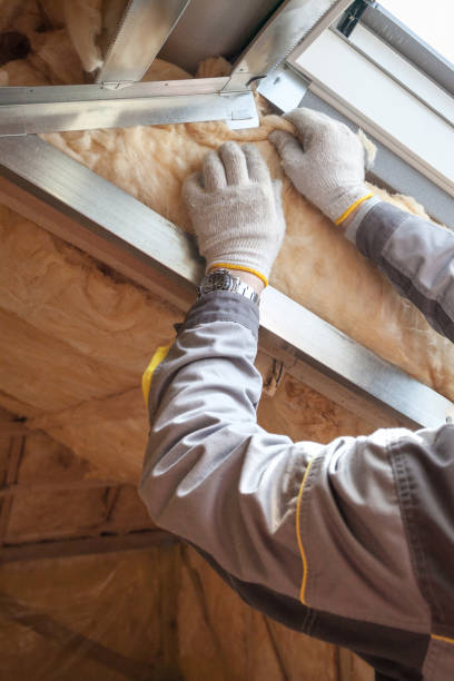 Best Insulation Maintenance and Repair in Davis Junction, IL