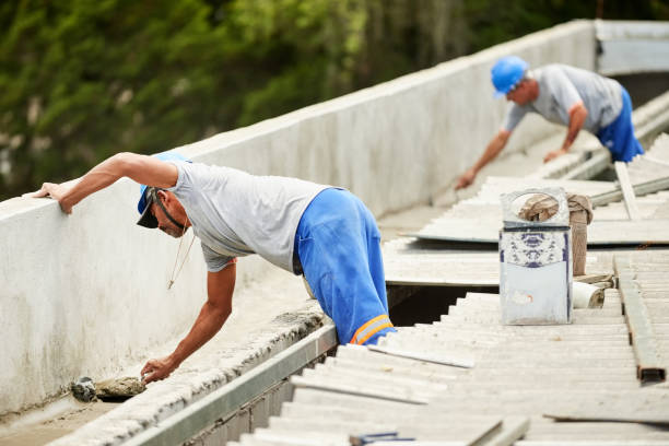 Best Insulation Maintenance and Repair in Davis Junction, IL