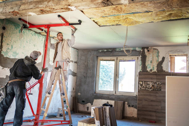 Best Insulation Maintenance and Repair in Davis Junction, IL