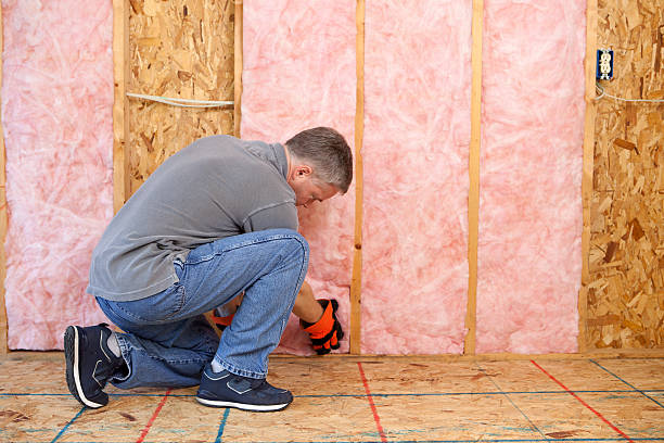 Best Commercial Insulation in Davis Junction, IL